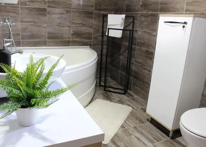 Vip House 2 * Vrnjačka Banja