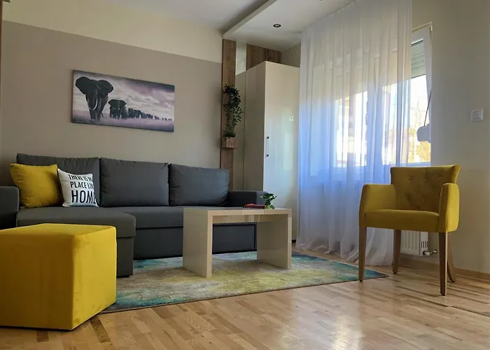 Vip House 2 Apartmán Vrnjačka Banja