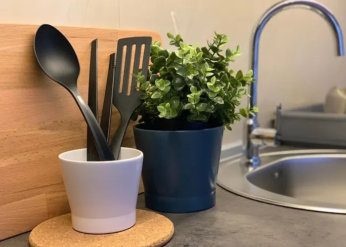 Vip House 2 * Vrnjačka Banja